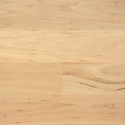 EP110 Blackbutt