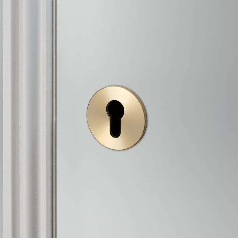 Buster and Punch Escutcheon Plate Euro Profile