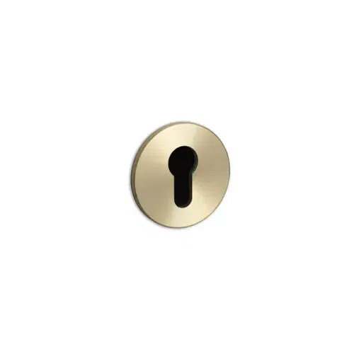 Buster+Punch Euro Escutcheon