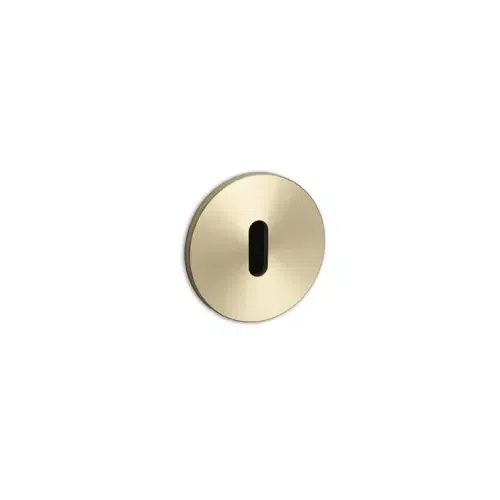 Buster+Punch Cylinder Escutcheon