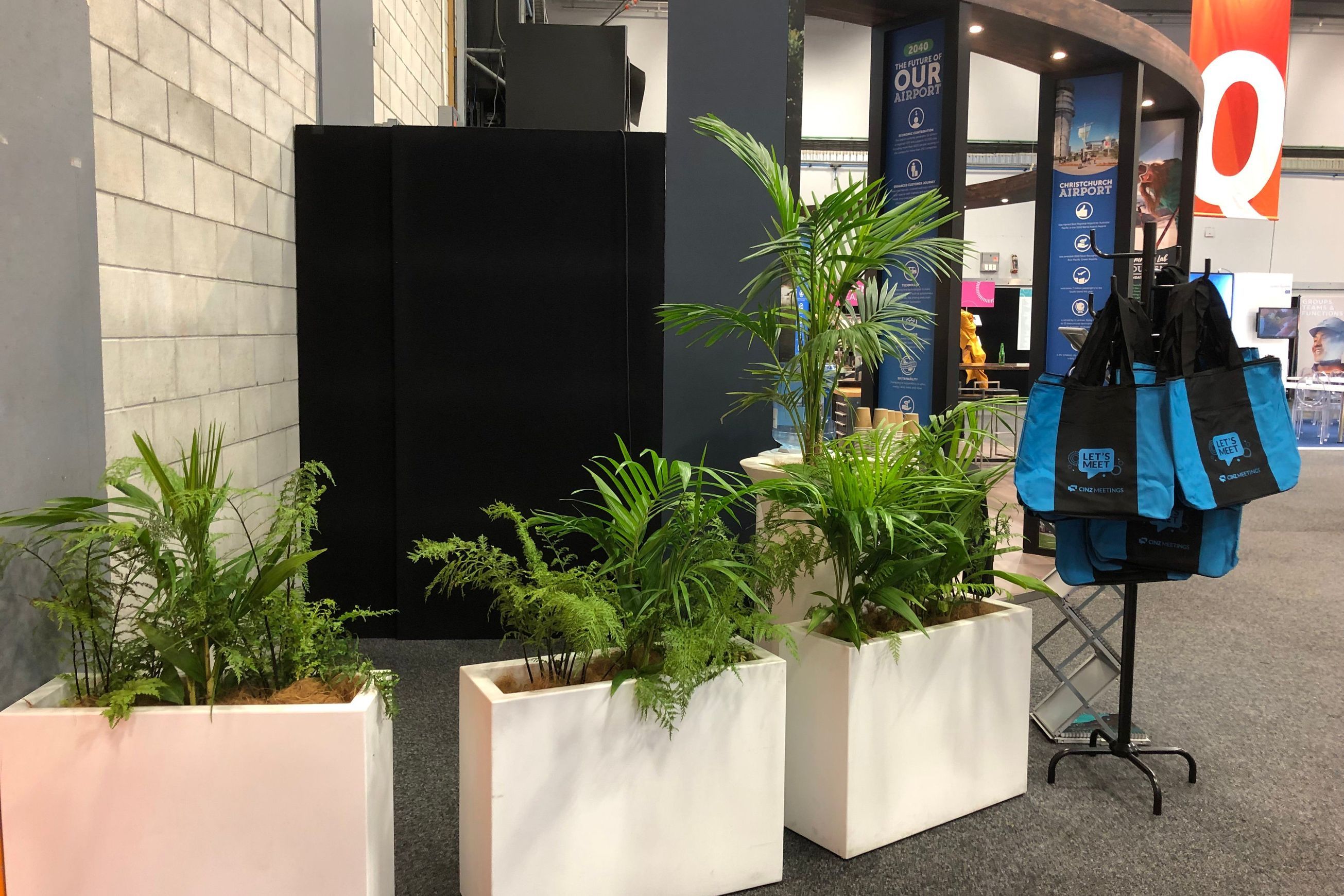 Plant Hire For Events | Hire Plants
