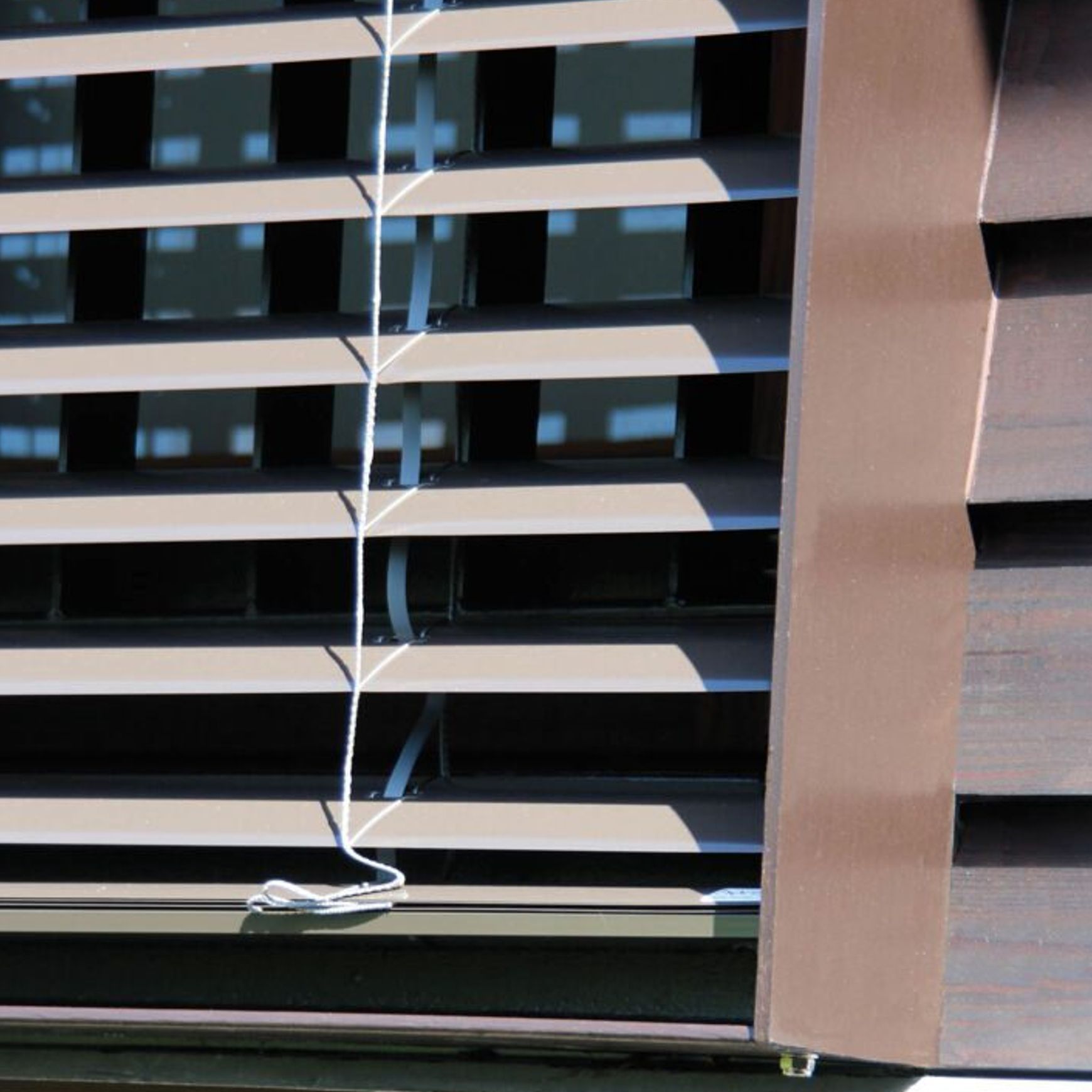 Horiso External Venetian Blinds