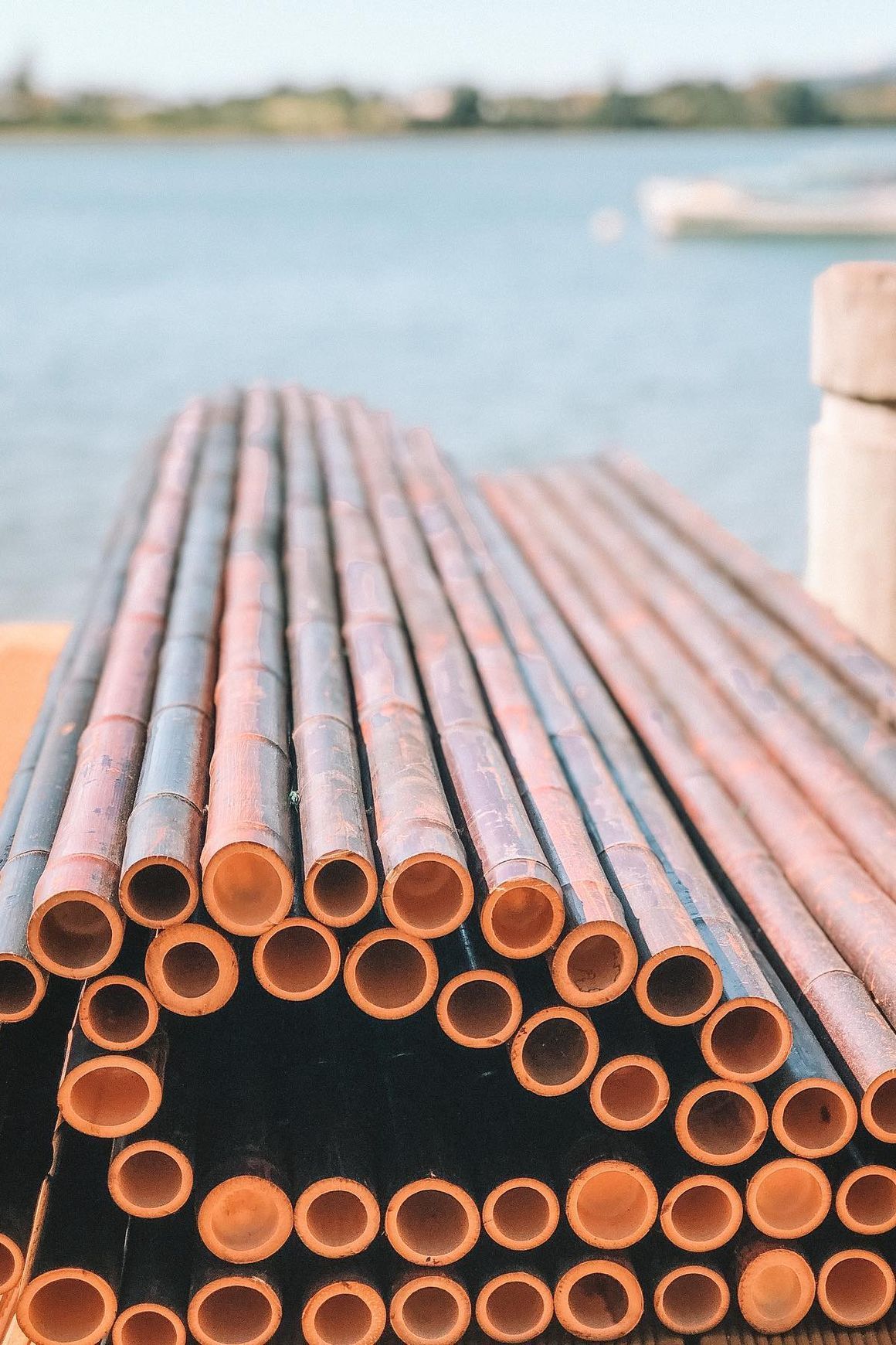 Bamboo Fencing Panels