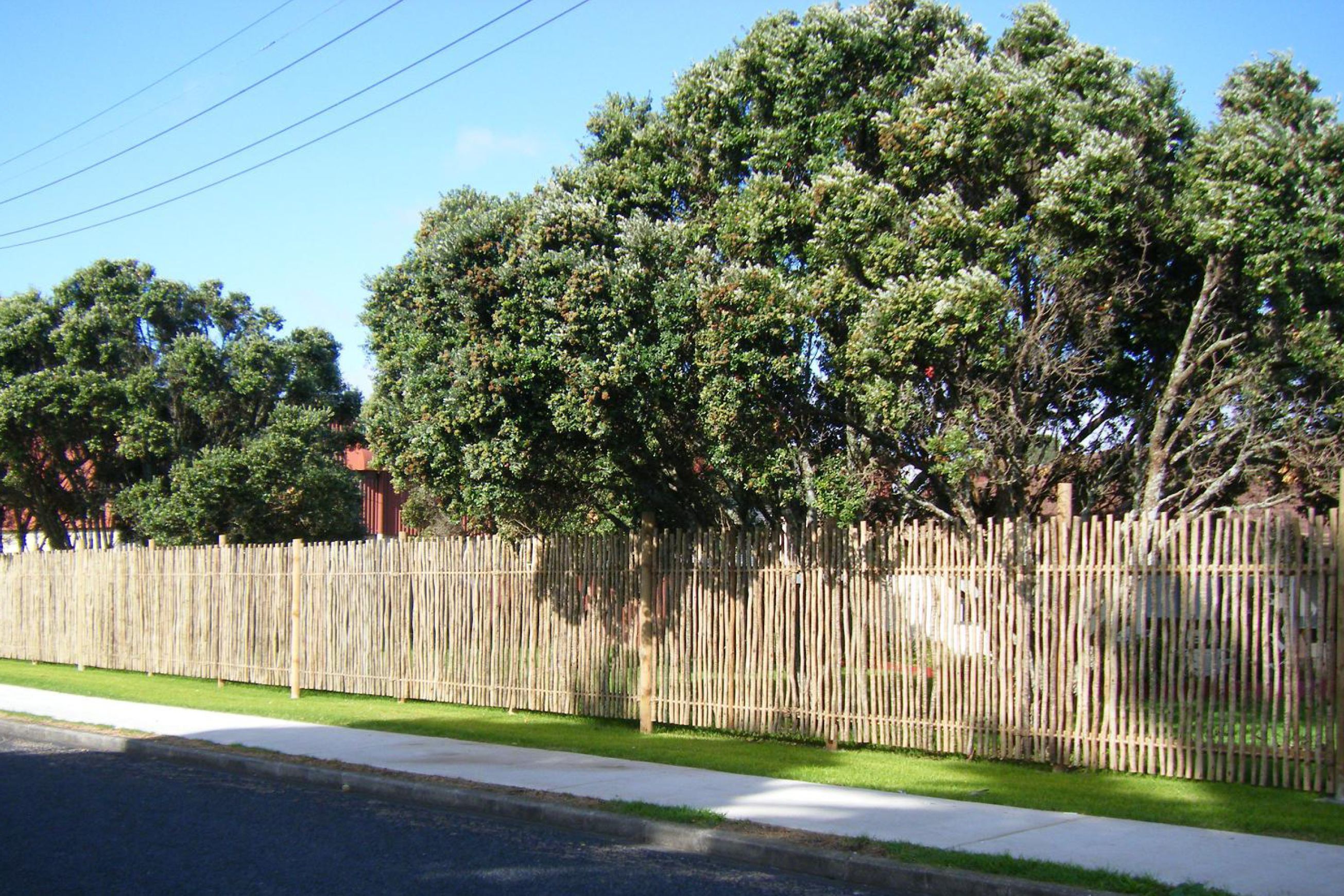 Eucalypt Fencing Panels & Poles