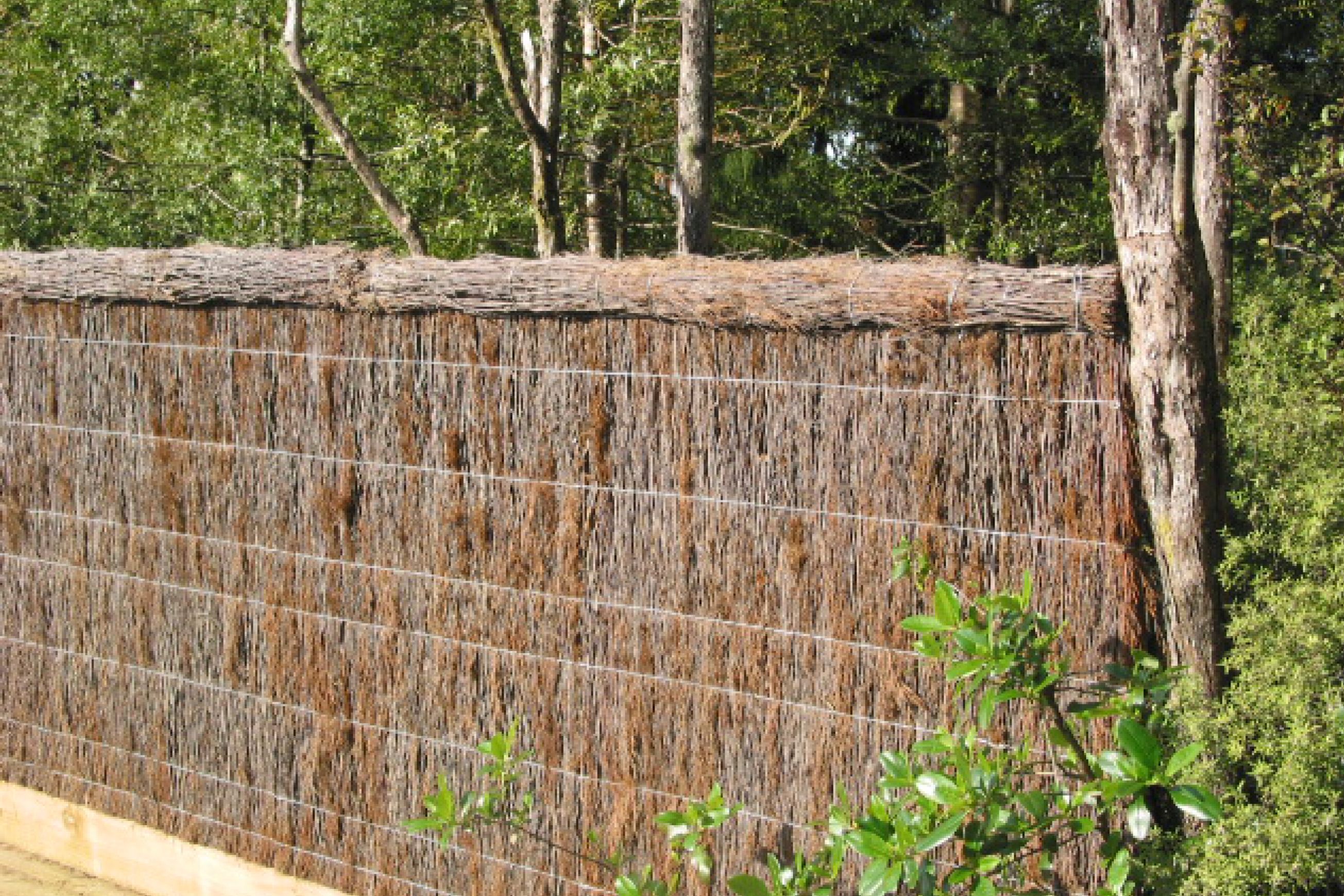 Brushwood Fencing Panels