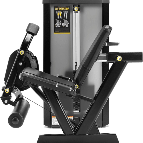 Leg Extension