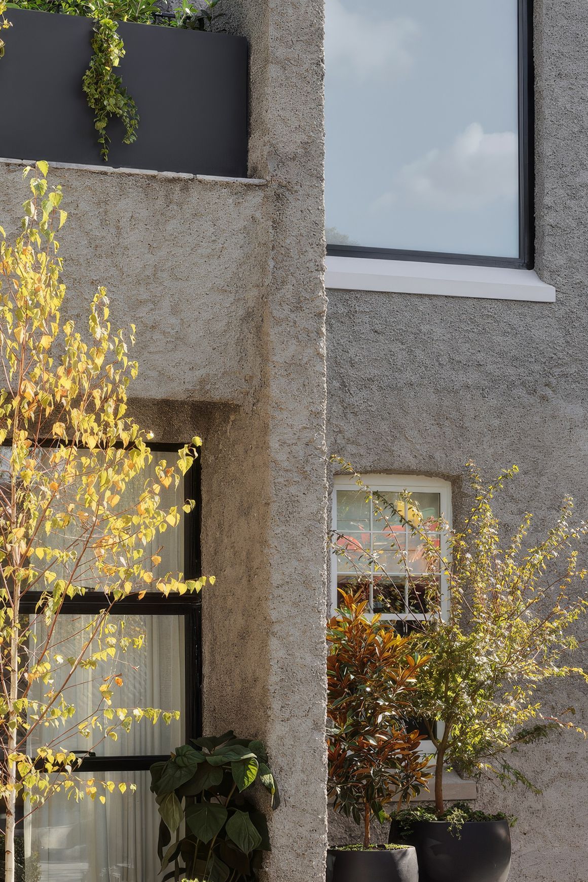 Steel Frame Fixed Windows – Galvanised W40