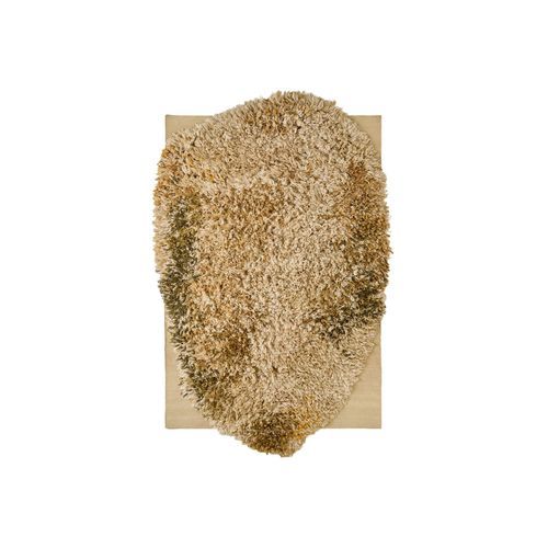Alga Collection