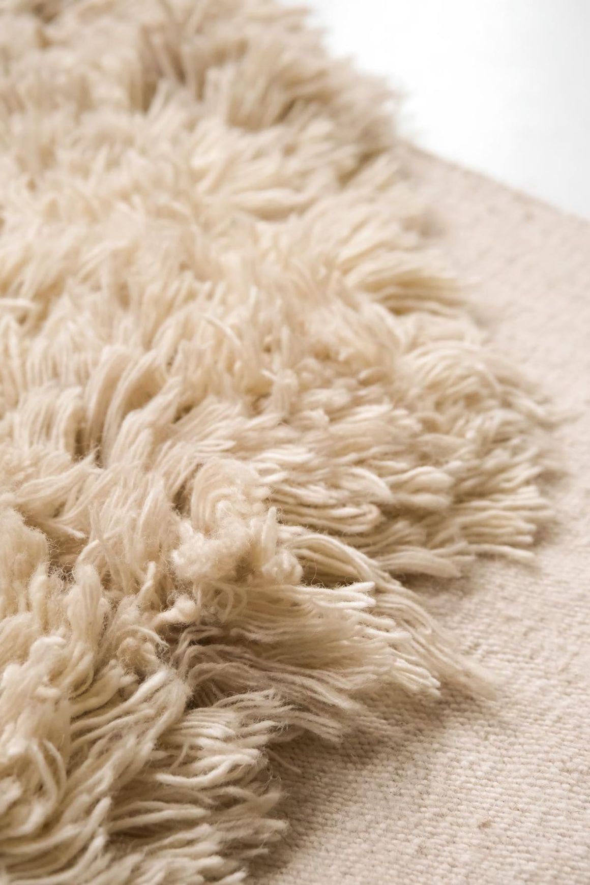 Alga Collection