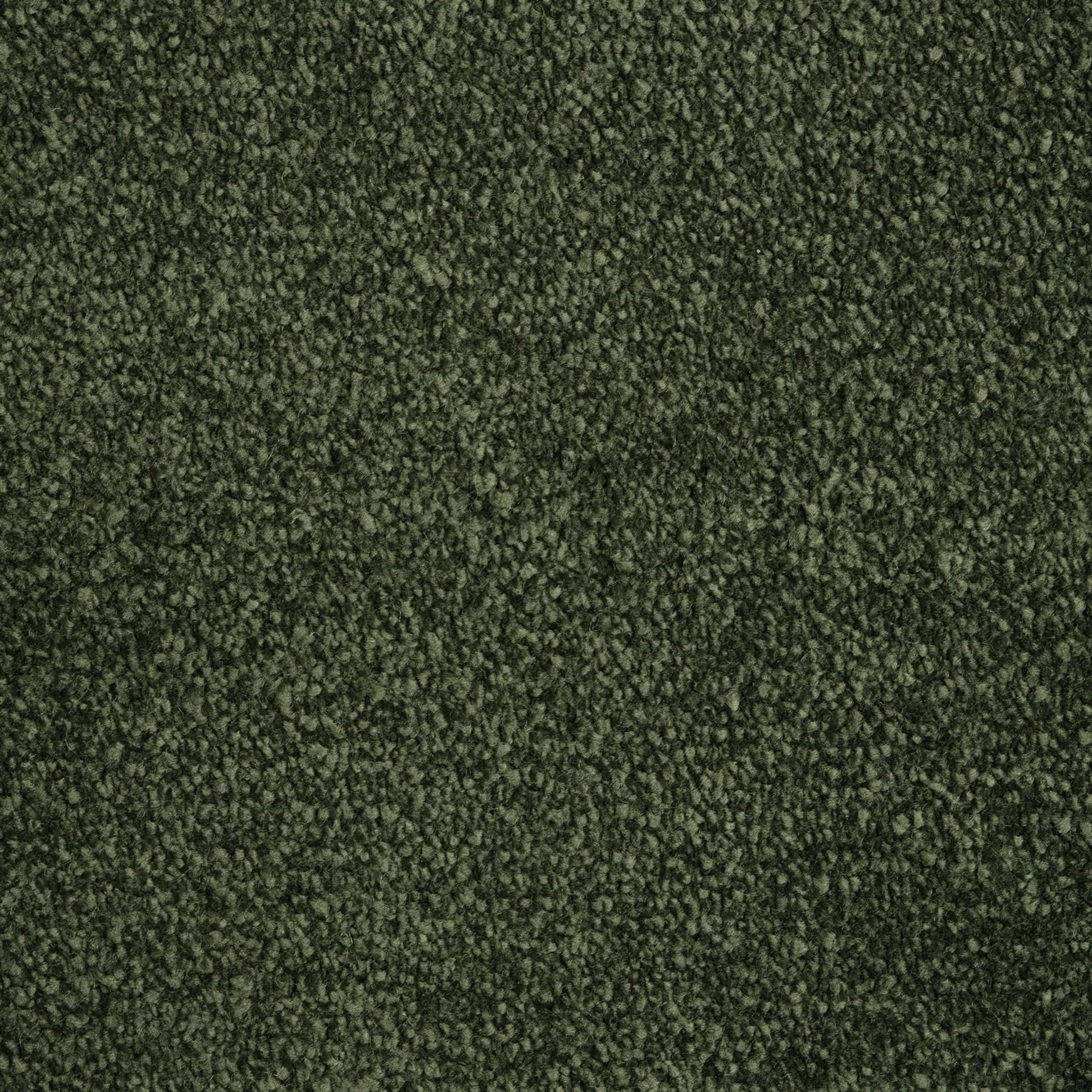 Evoke 2611