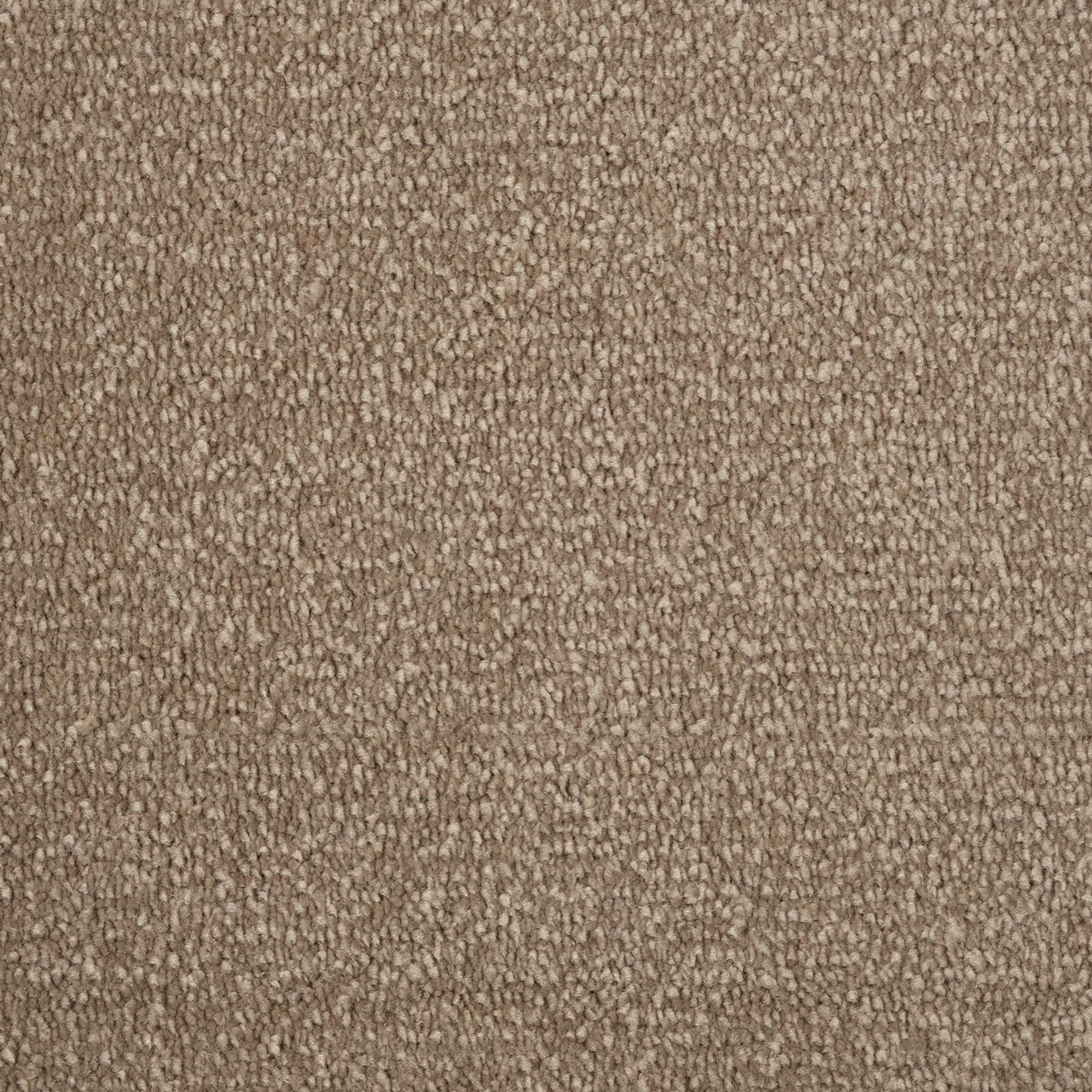 Evoke 2611