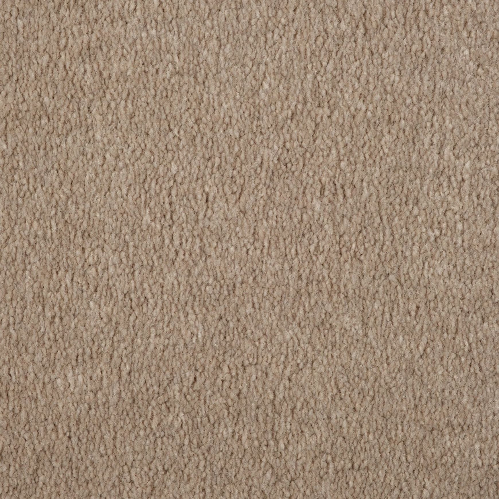 Evoke 2612