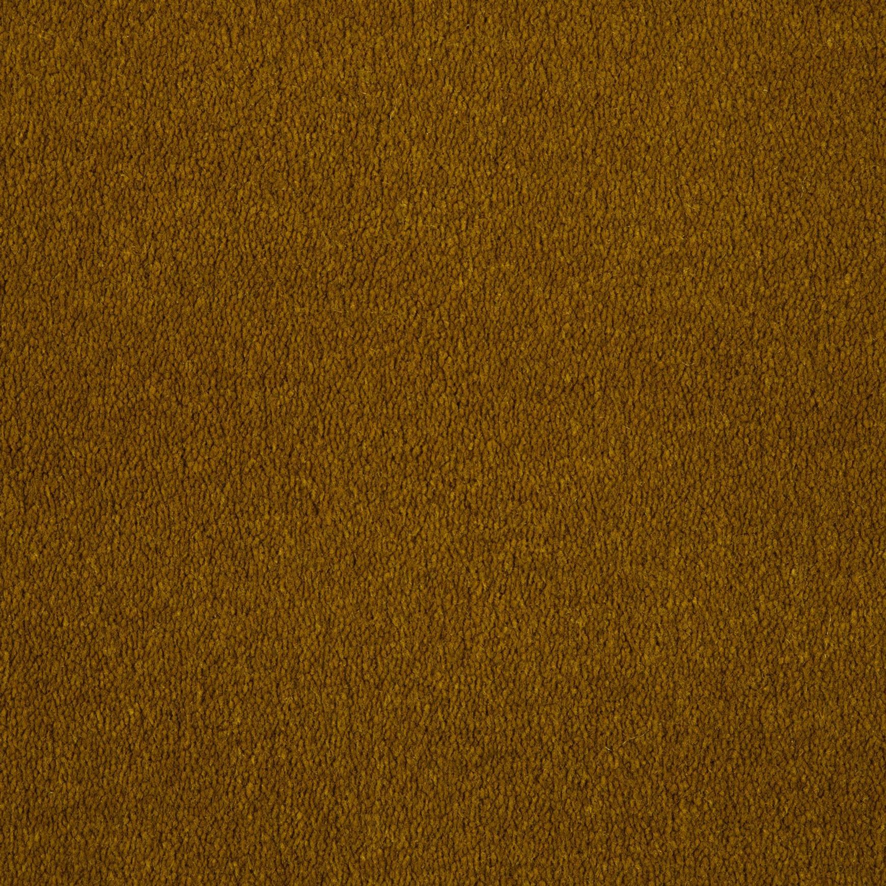 Evoke 2613