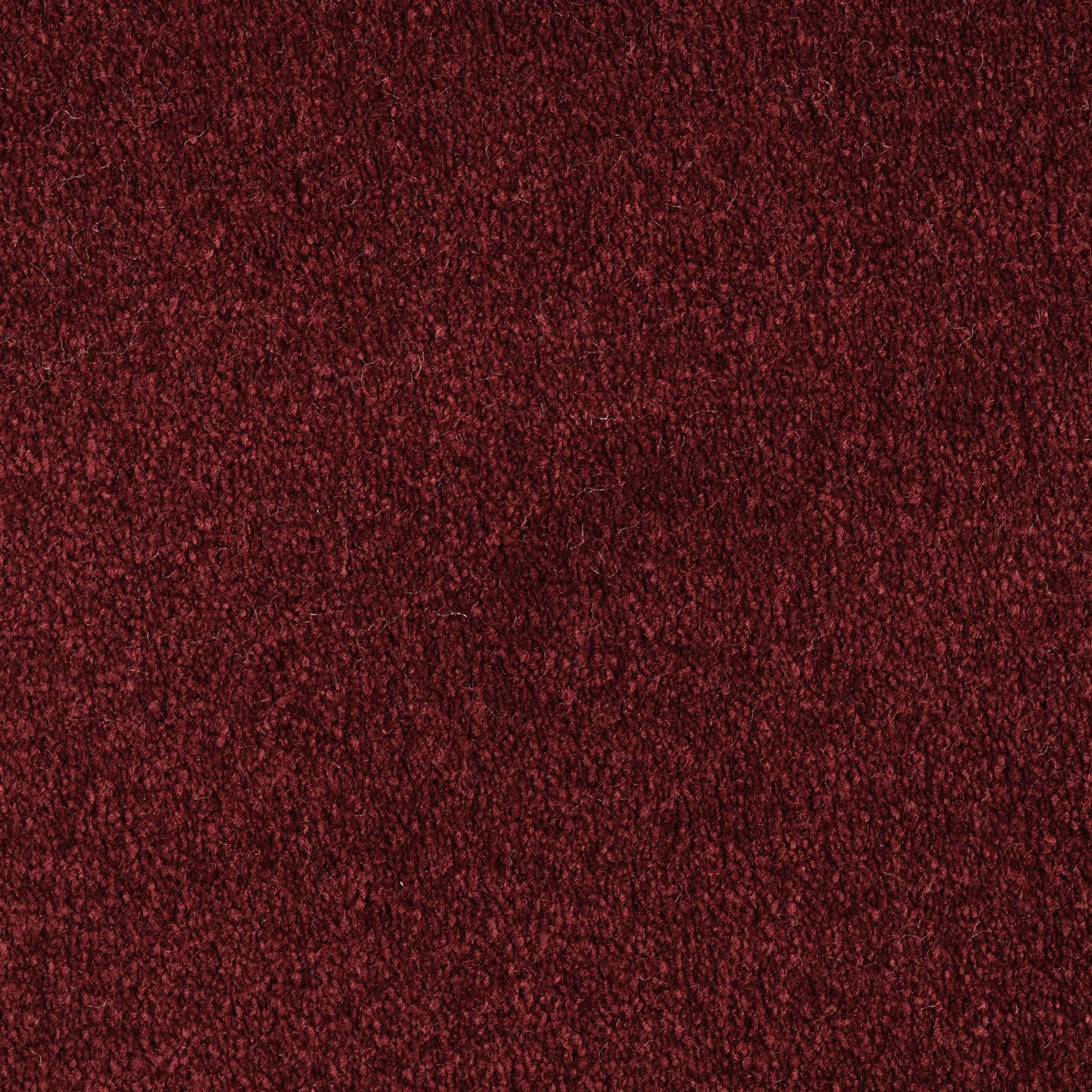 Evoke 2613