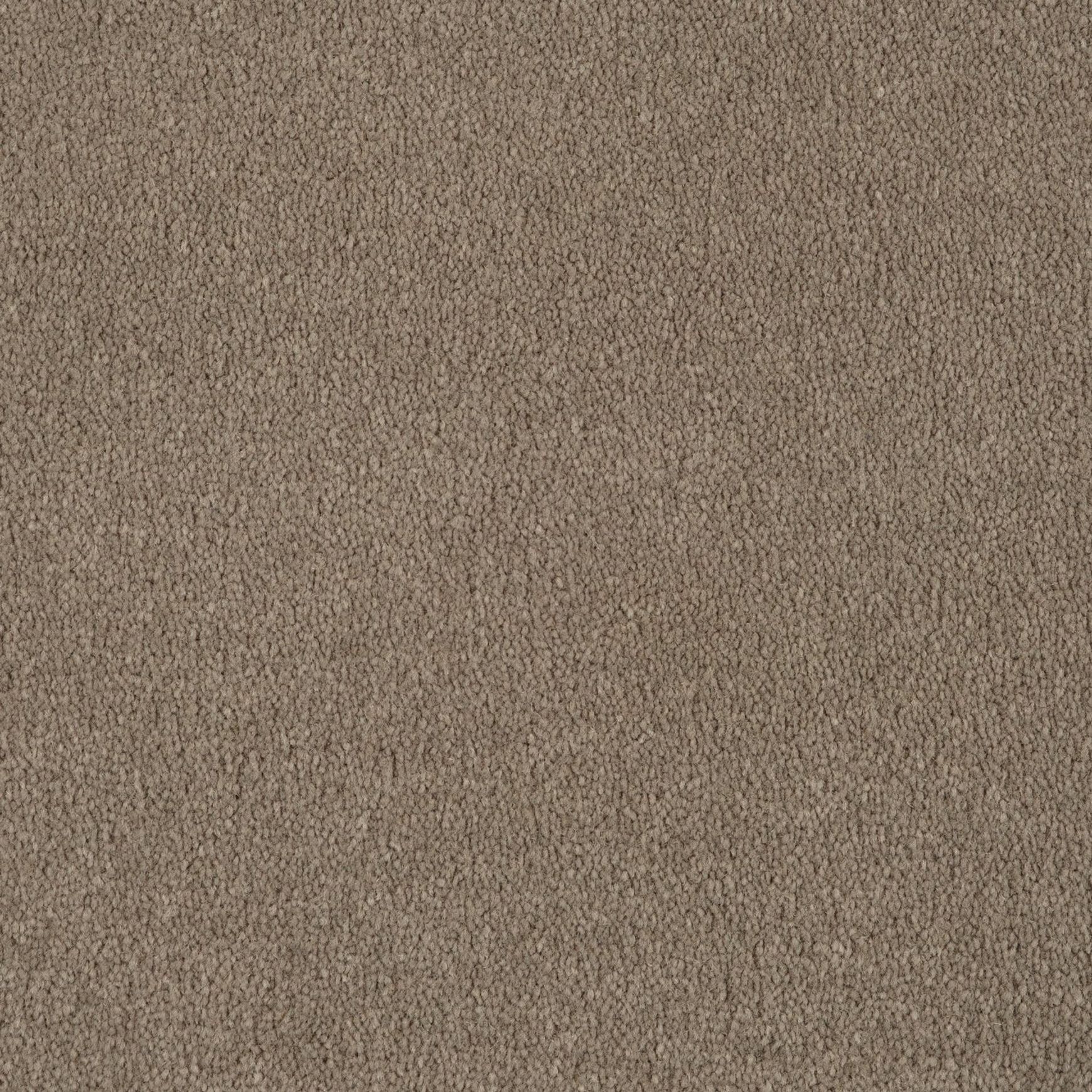 Evoke 2613