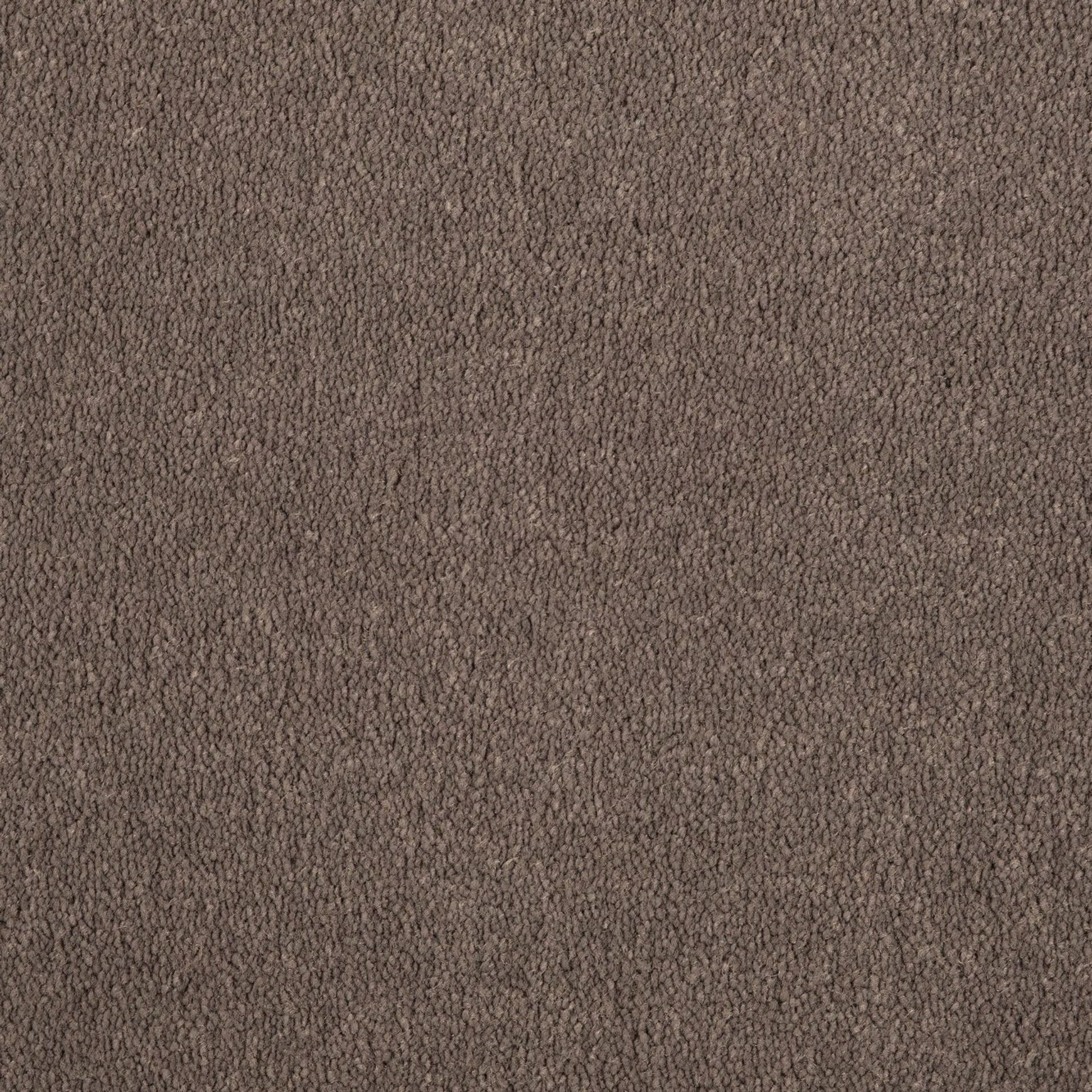 Evoke 2613