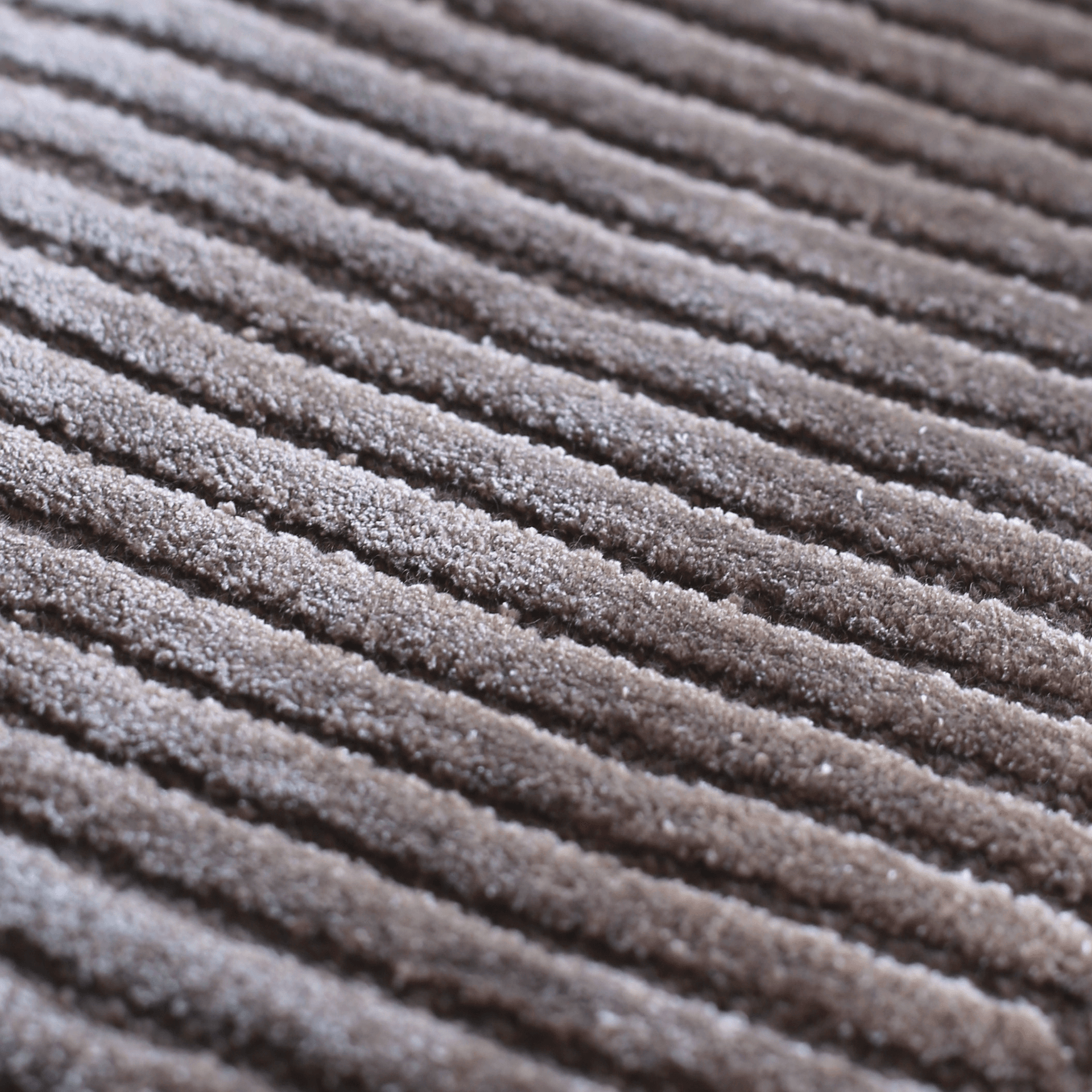 Tapis Row 2