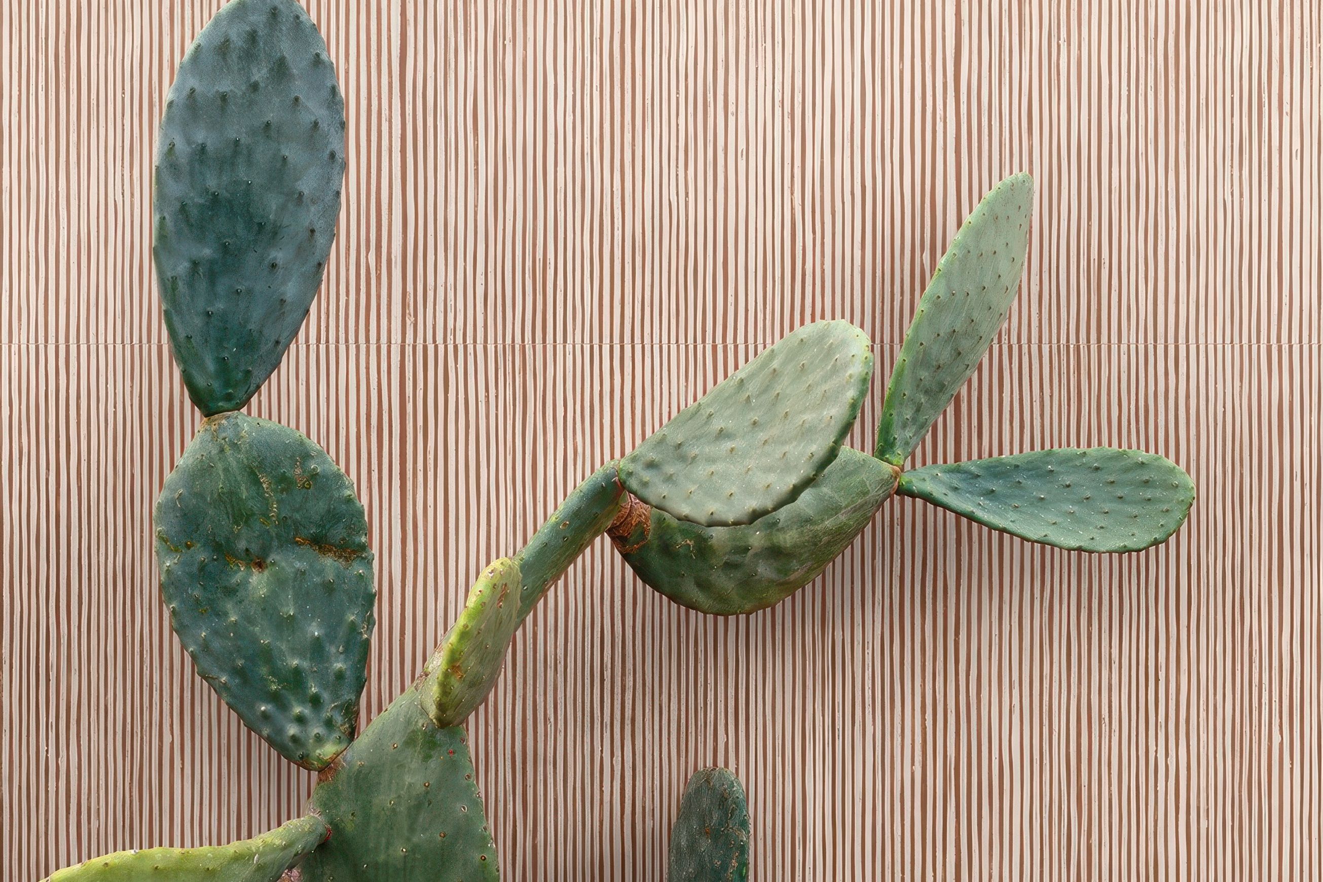 Sensi Terre | Porcelain Tiles