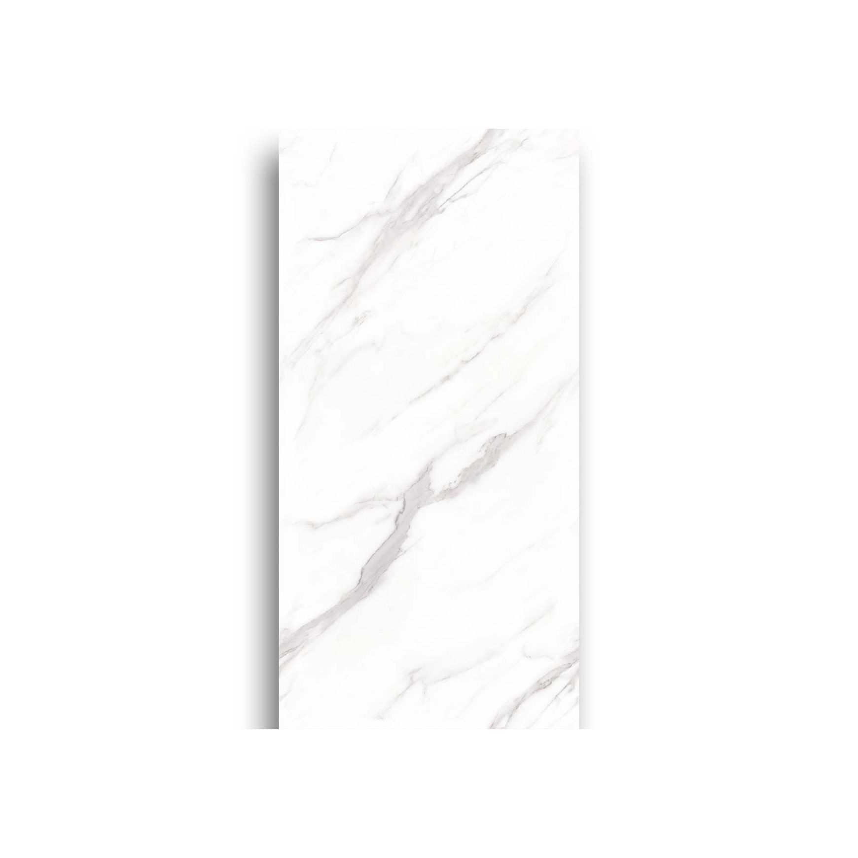 Carrara White Polished 600x1200