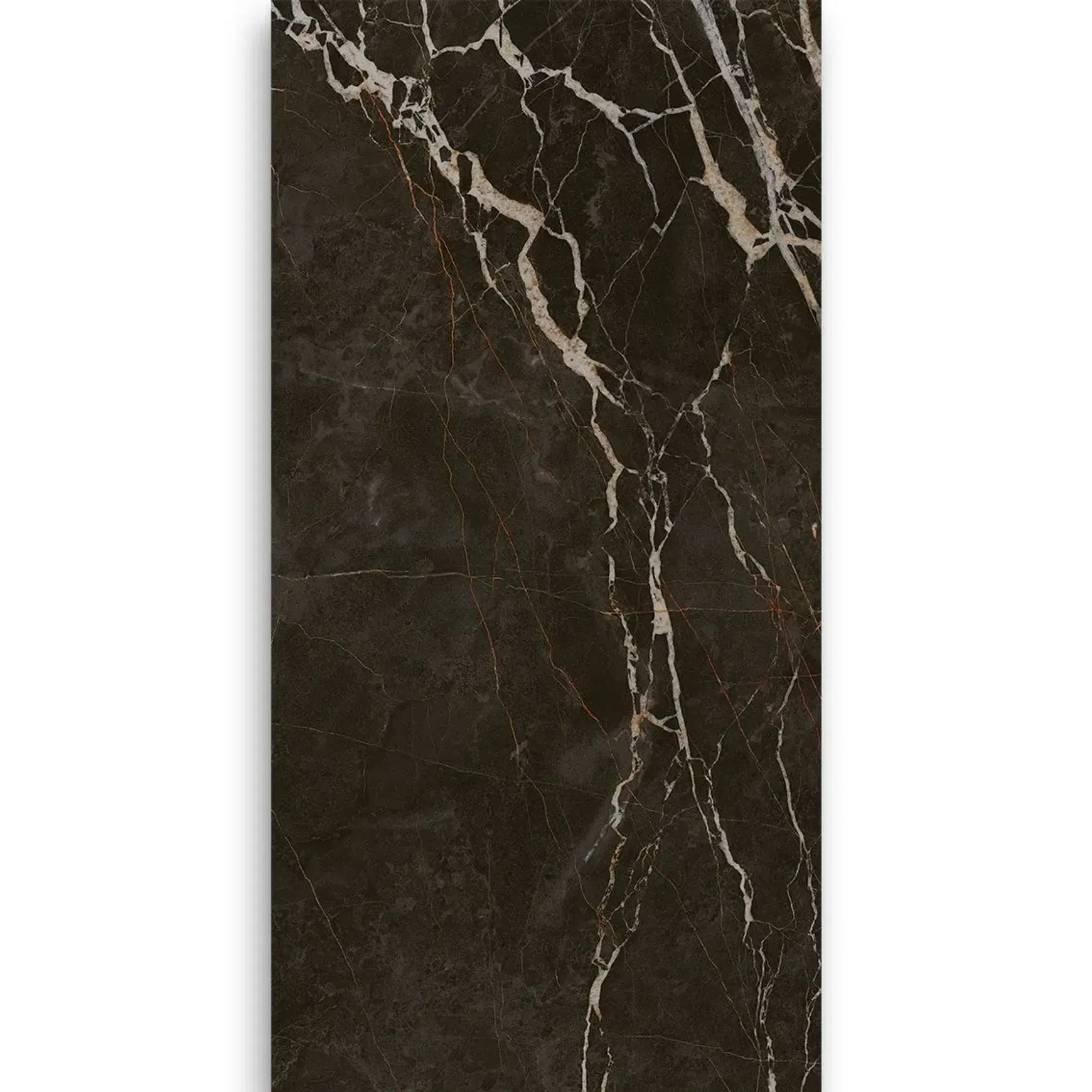 Noir Aurum Honed 750x1500