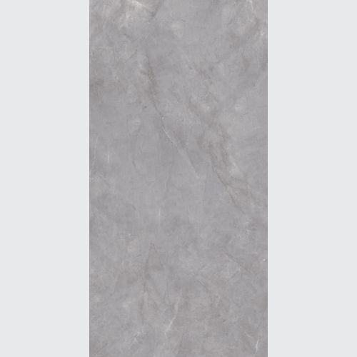 Elegant Grey
