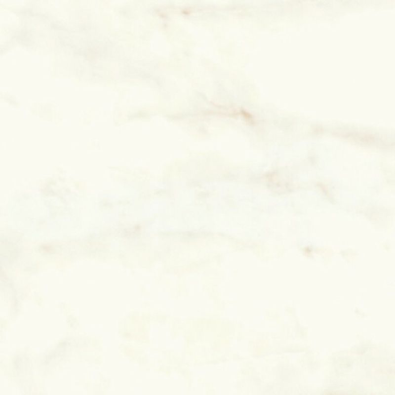 Calacatta Delicato Polish | Tile Space