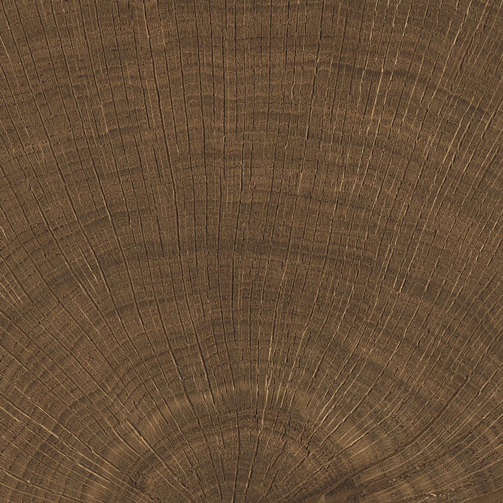 W-Circles Collection | Floor & Wall Tile