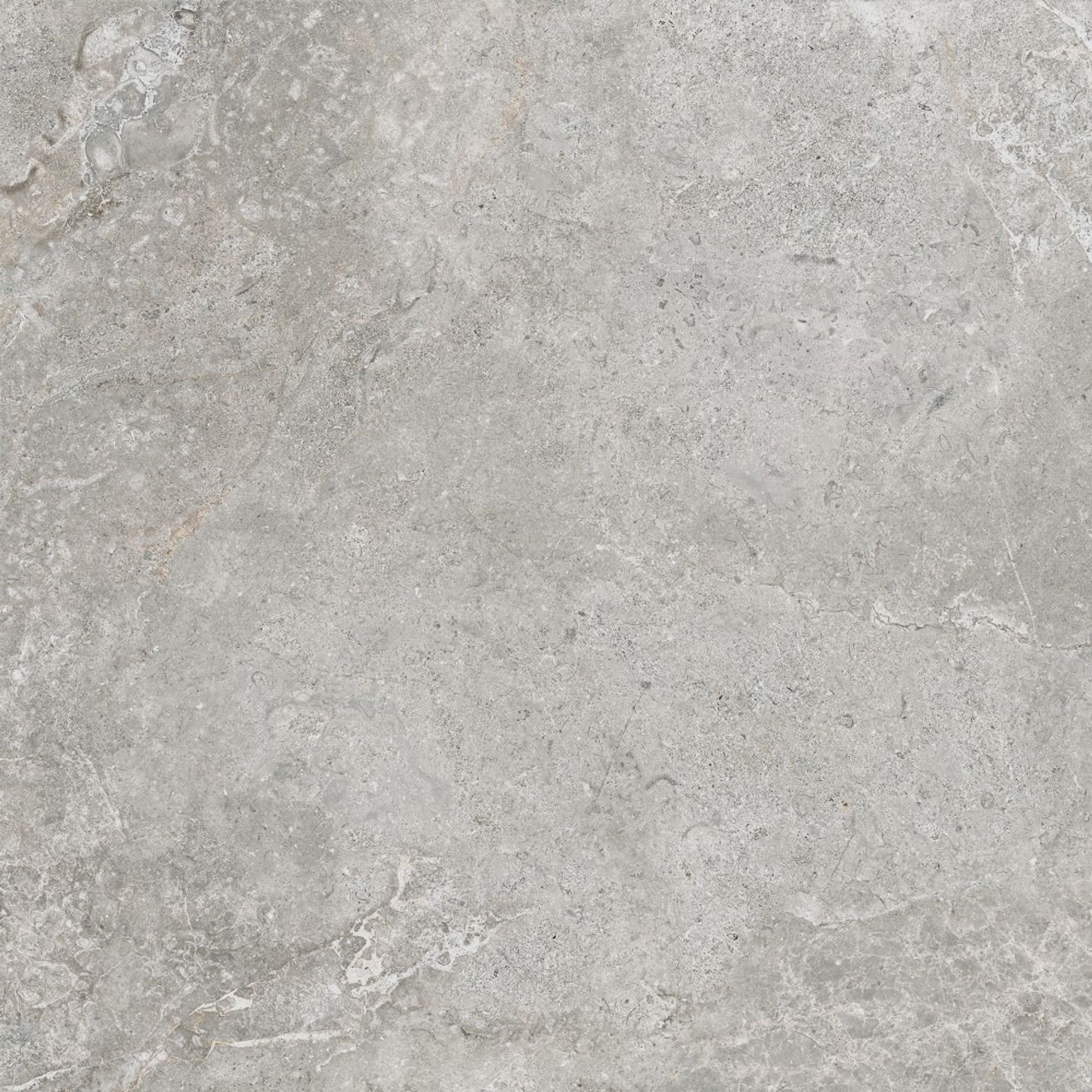 Arctic Tundra Grey Matt 60