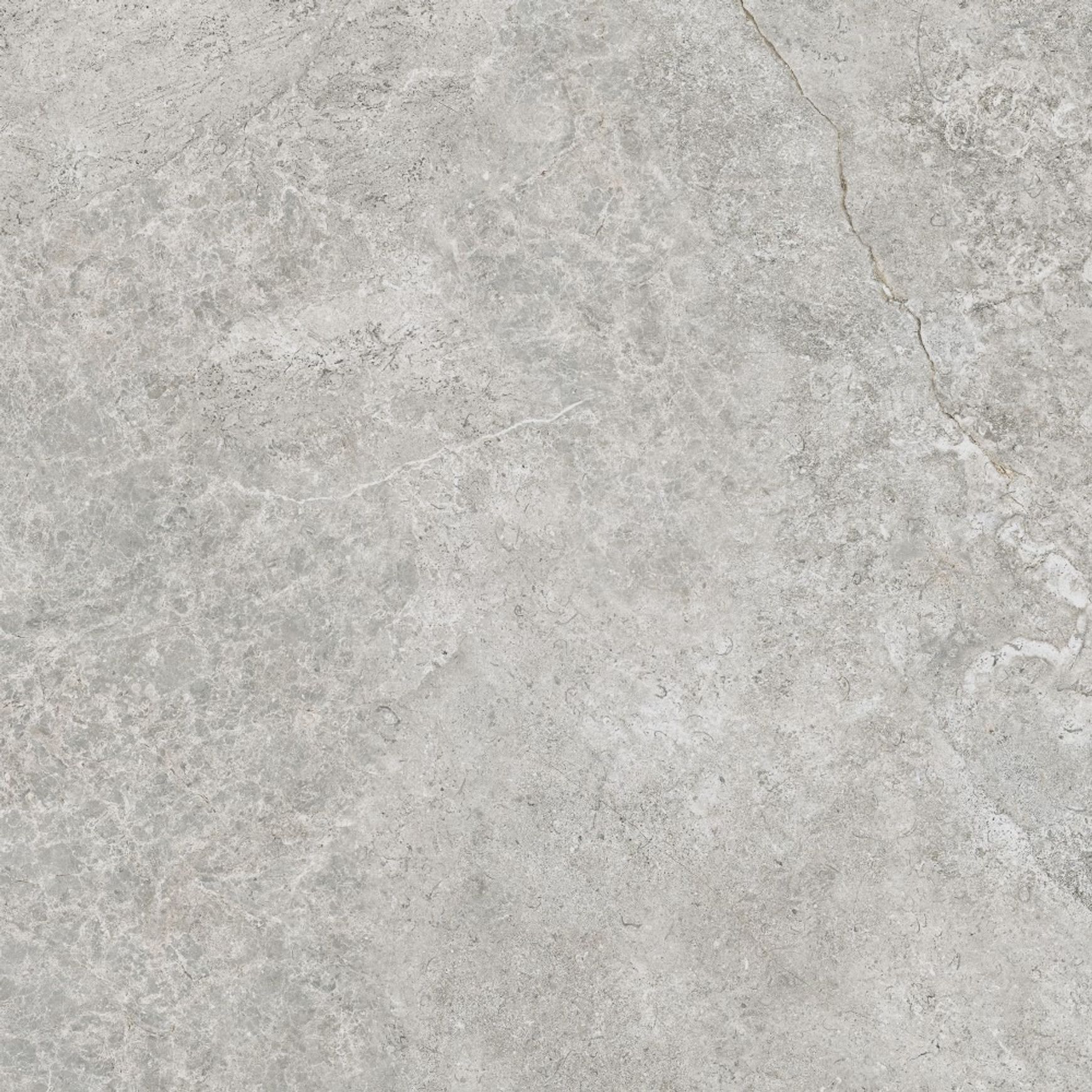 Arctic Tundra Grey Matt 60