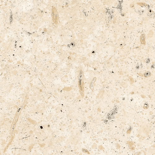 Panama Limestone | Honed Finish Tile