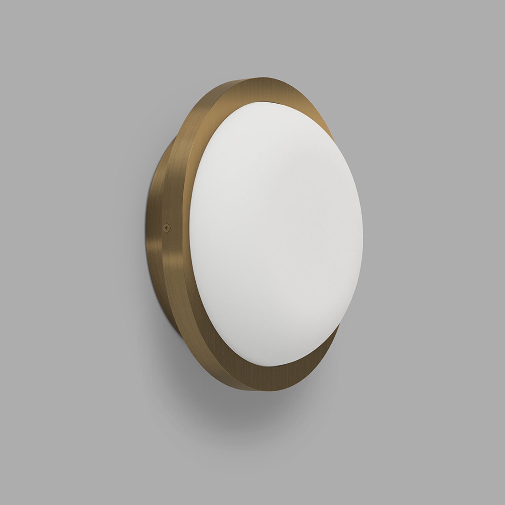 Bode Round Wall/Ceiling Light