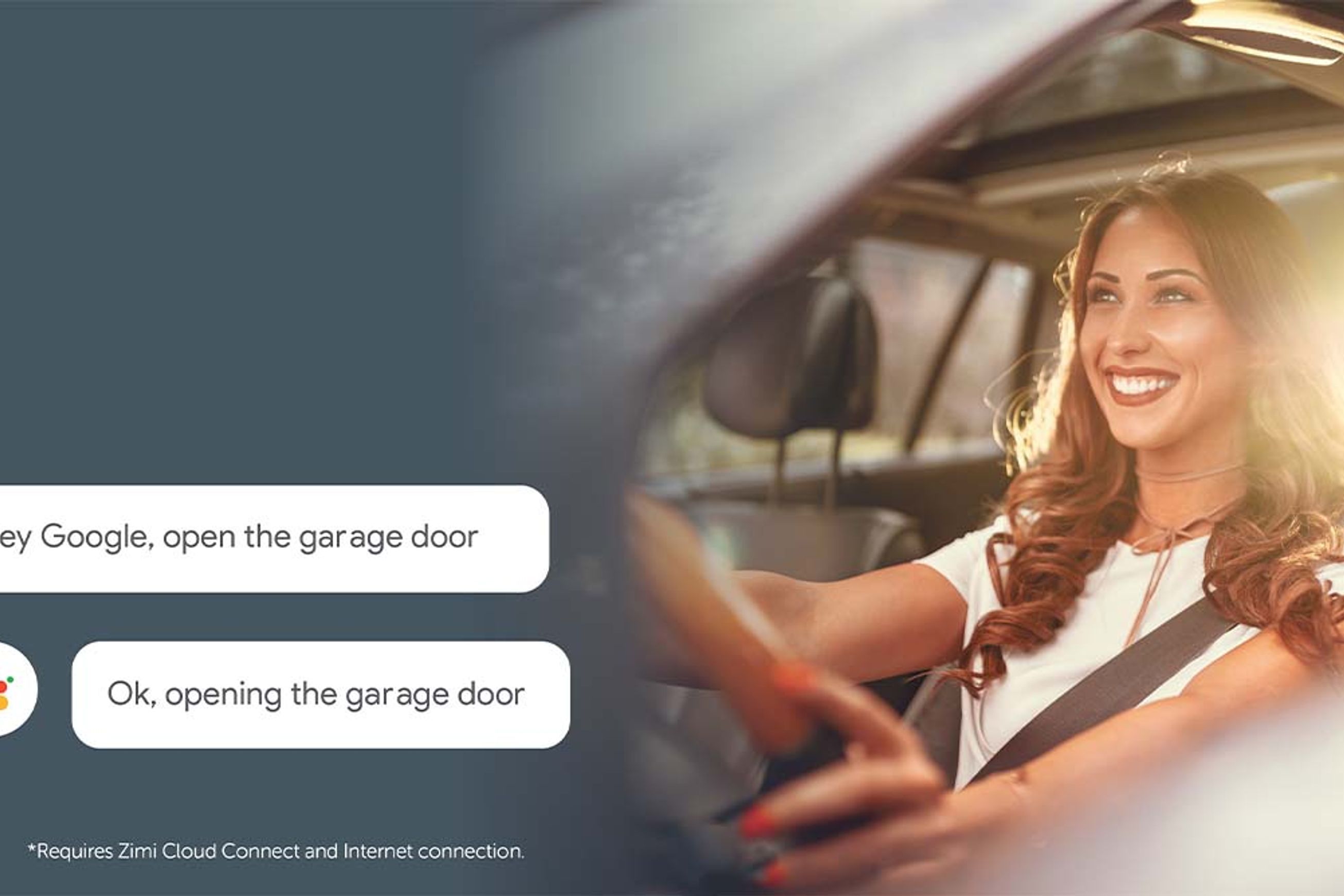 Powermesh Garage Door Controller