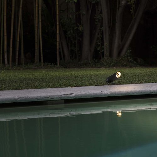 Starlight Small Spike Light