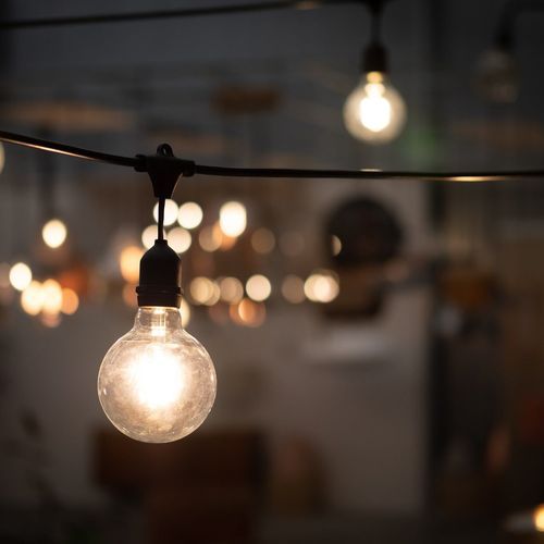 Festoon String Lights with either VINTAGE EDISON or LED Bulbs