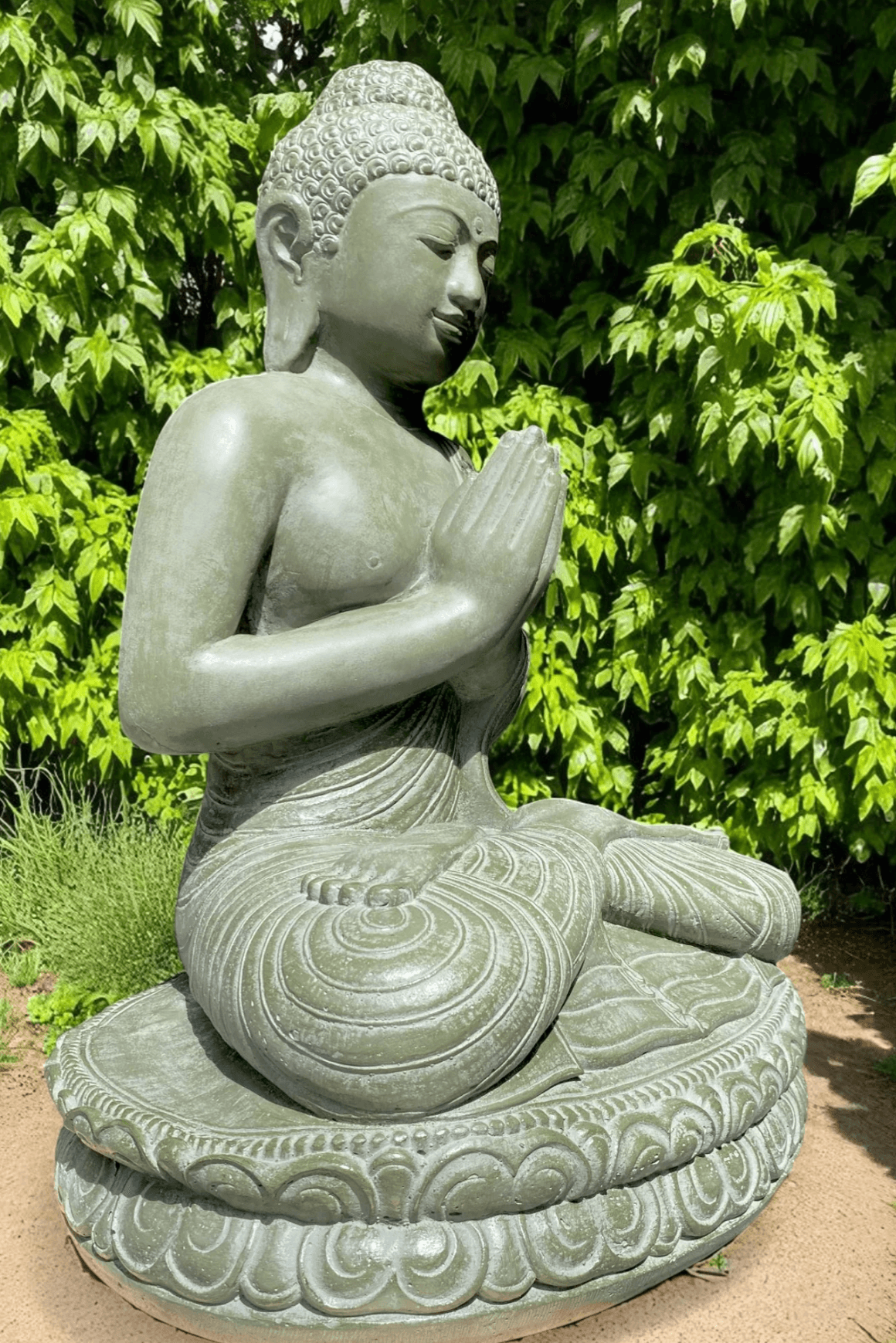 Praying Buddha Sculpture - (3064)