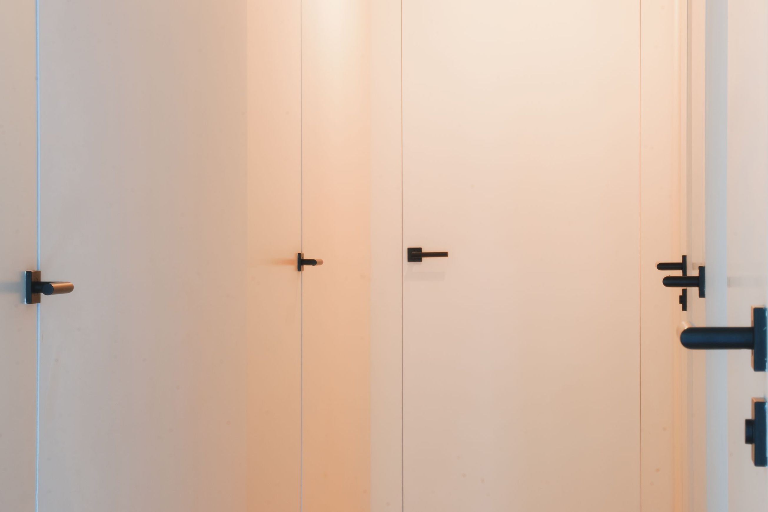 Arlu® (Argenta) Invisidoor 2.0 Door
