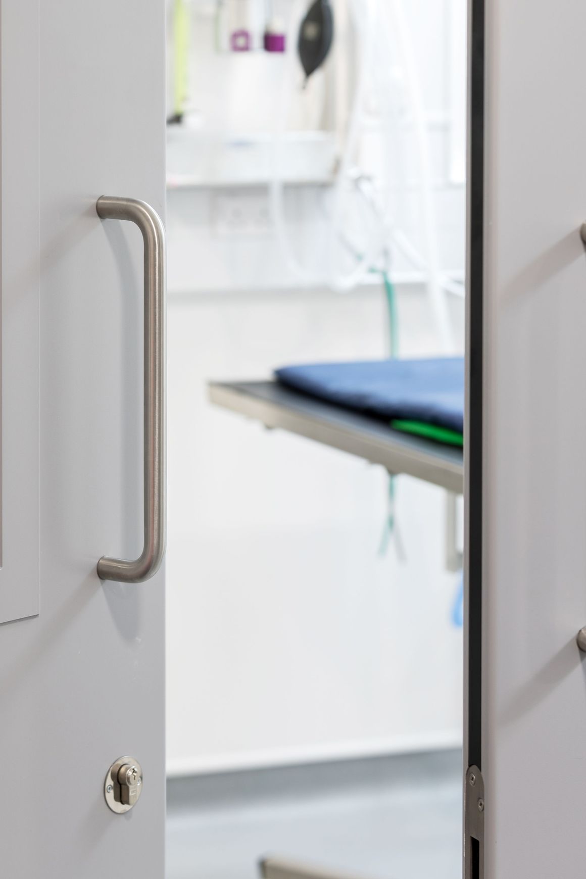 Altro Whiterock Hygienic Doorsets™