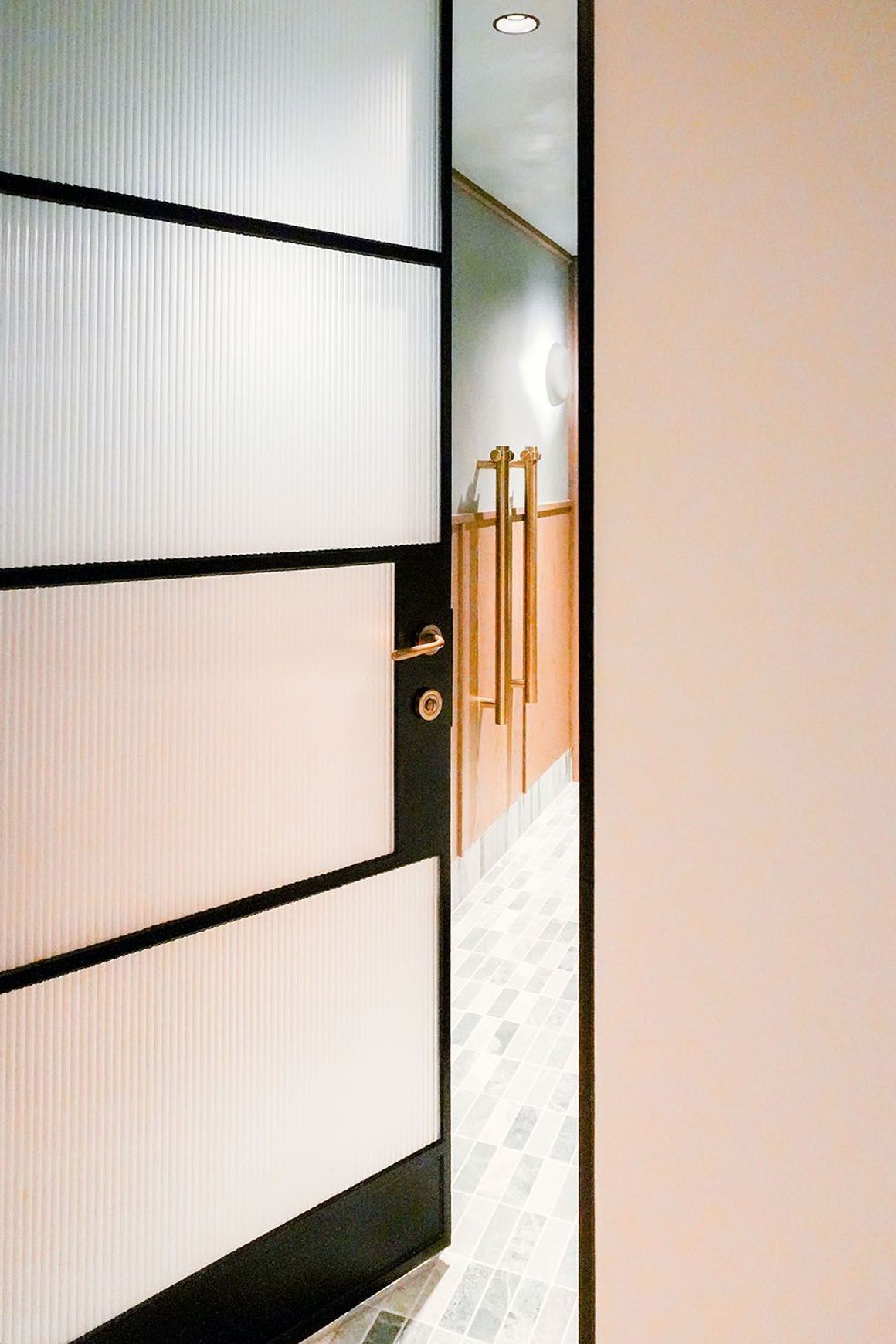 Steel Frame Glass Hinge Doors – Galvanised W20 Profile