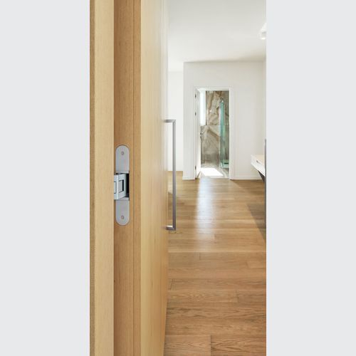 Tectus Invisible Hinges