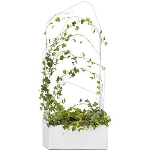 Offecct Green