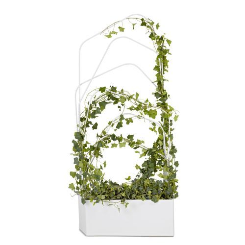 Offecct Green