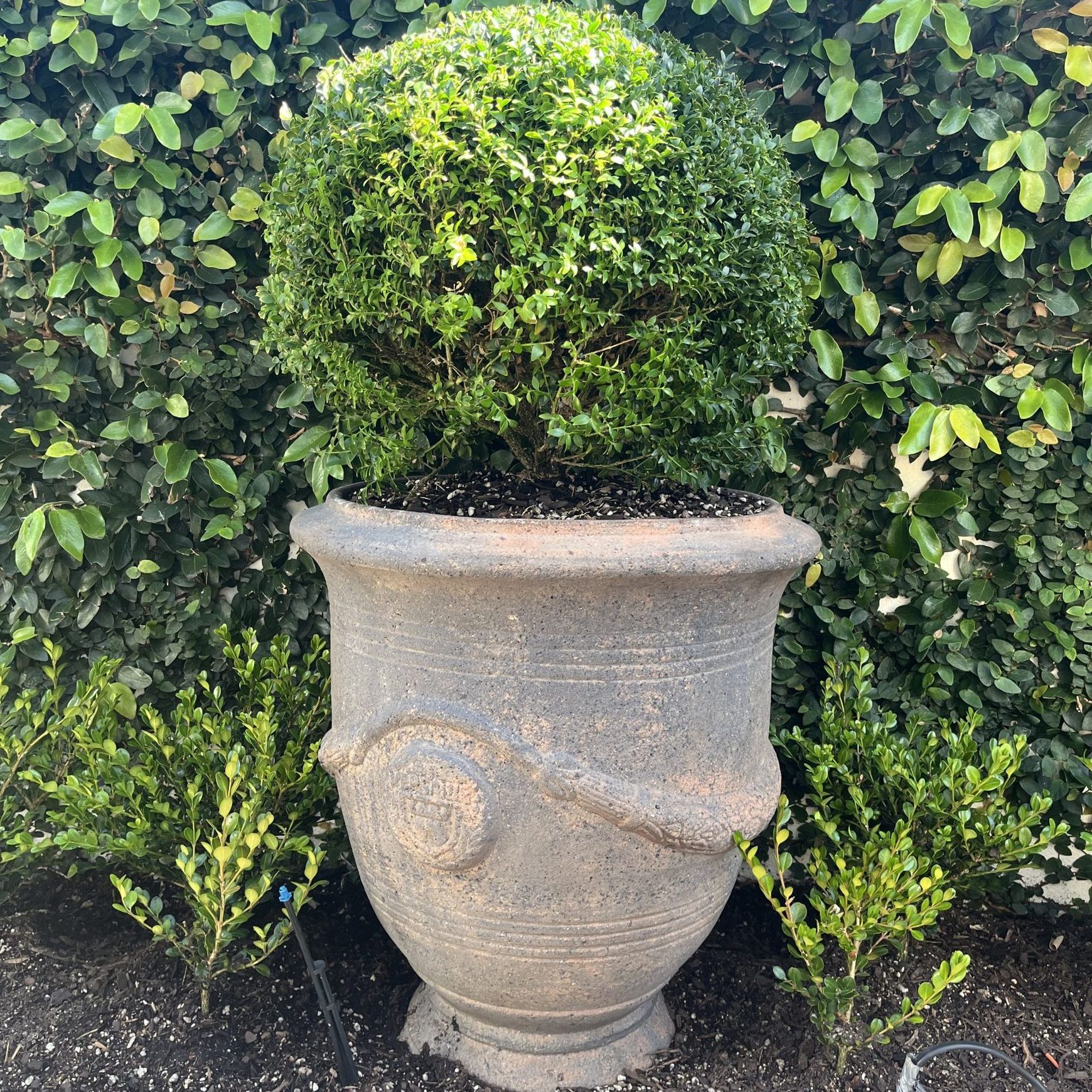 Old Stone - French Urn