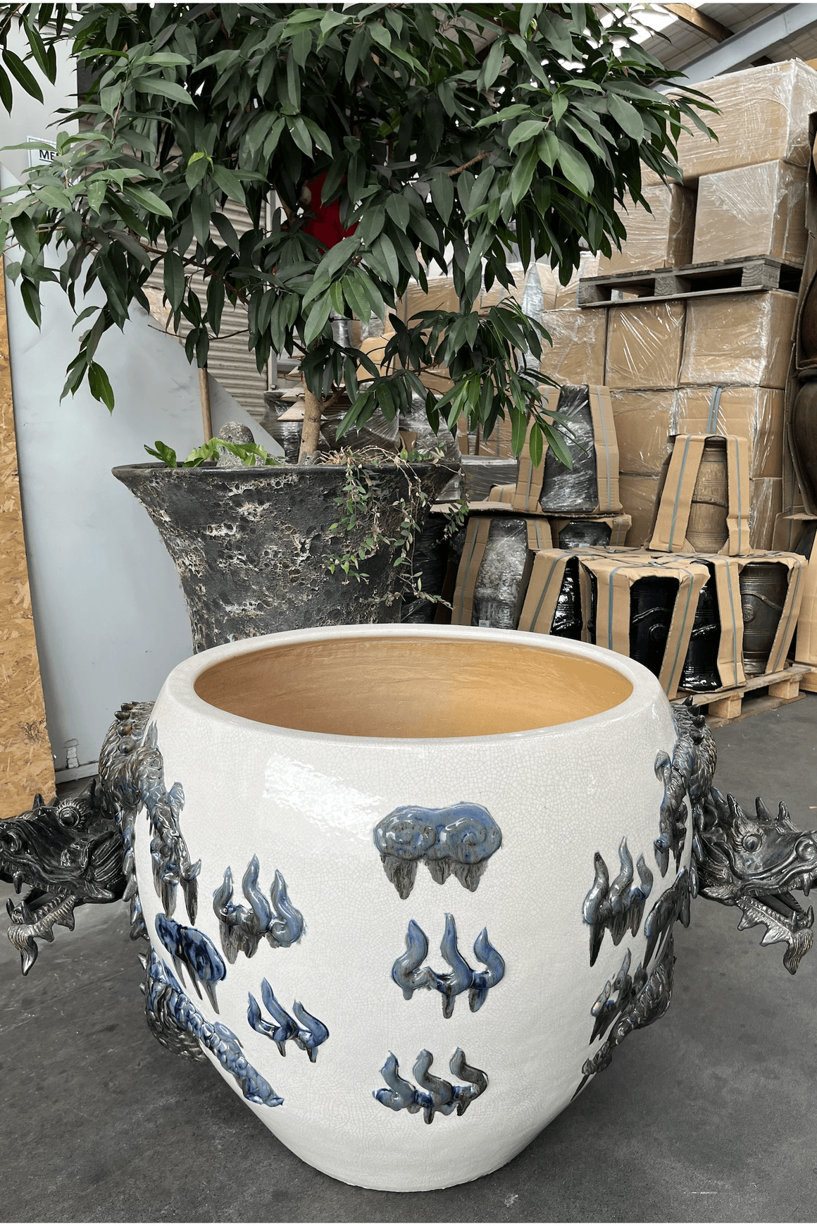 Dragon Planter