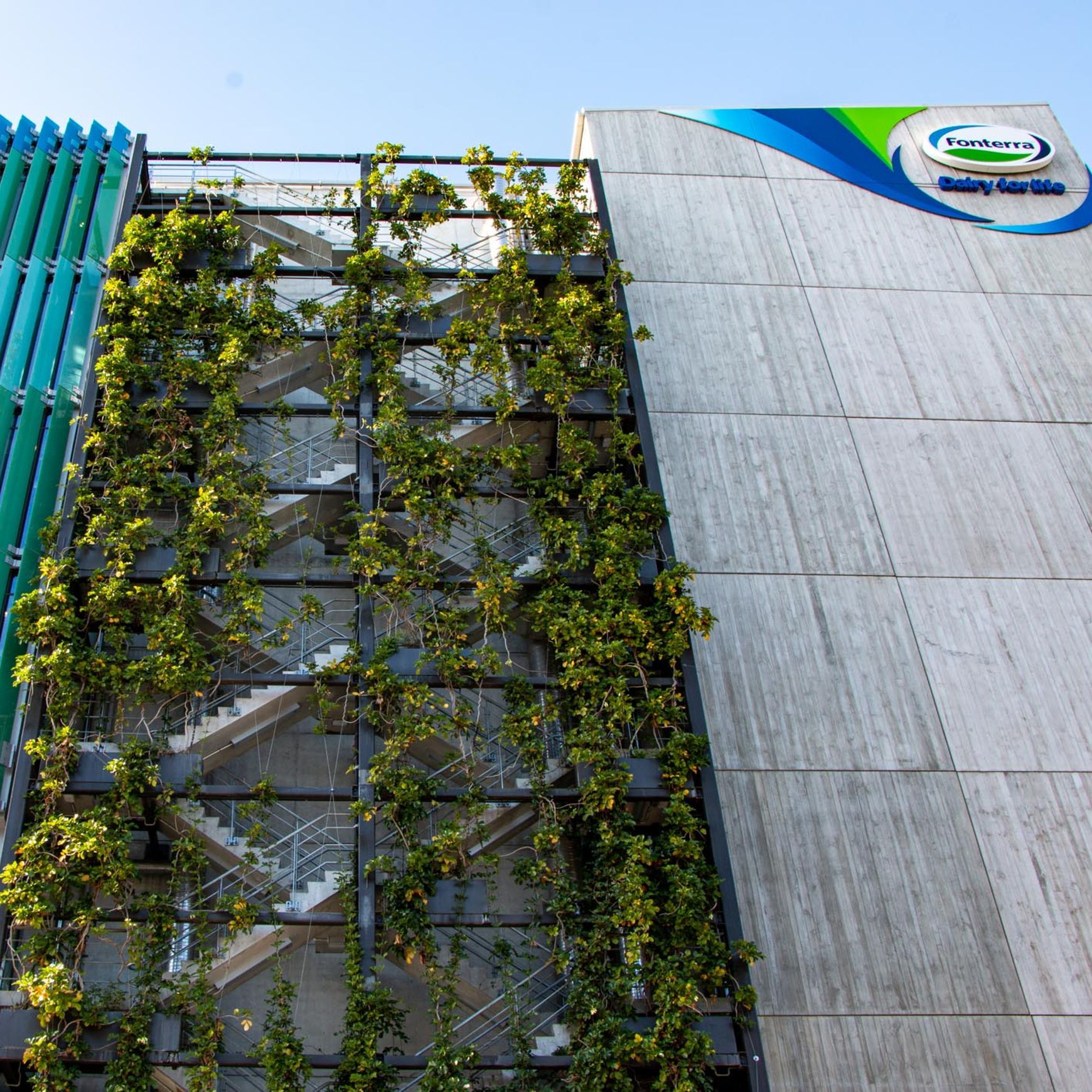Green Wall Support Systems