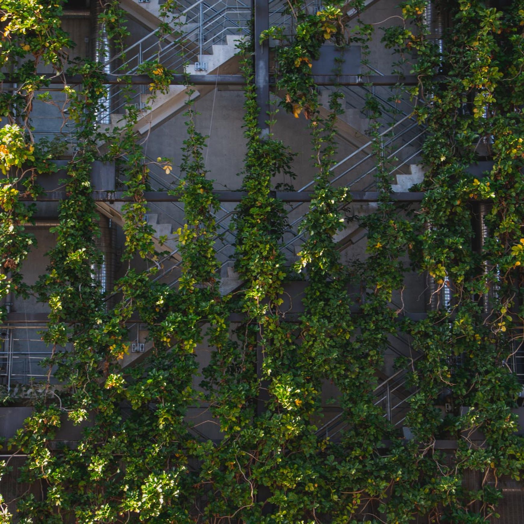 Green Wall Support Systems