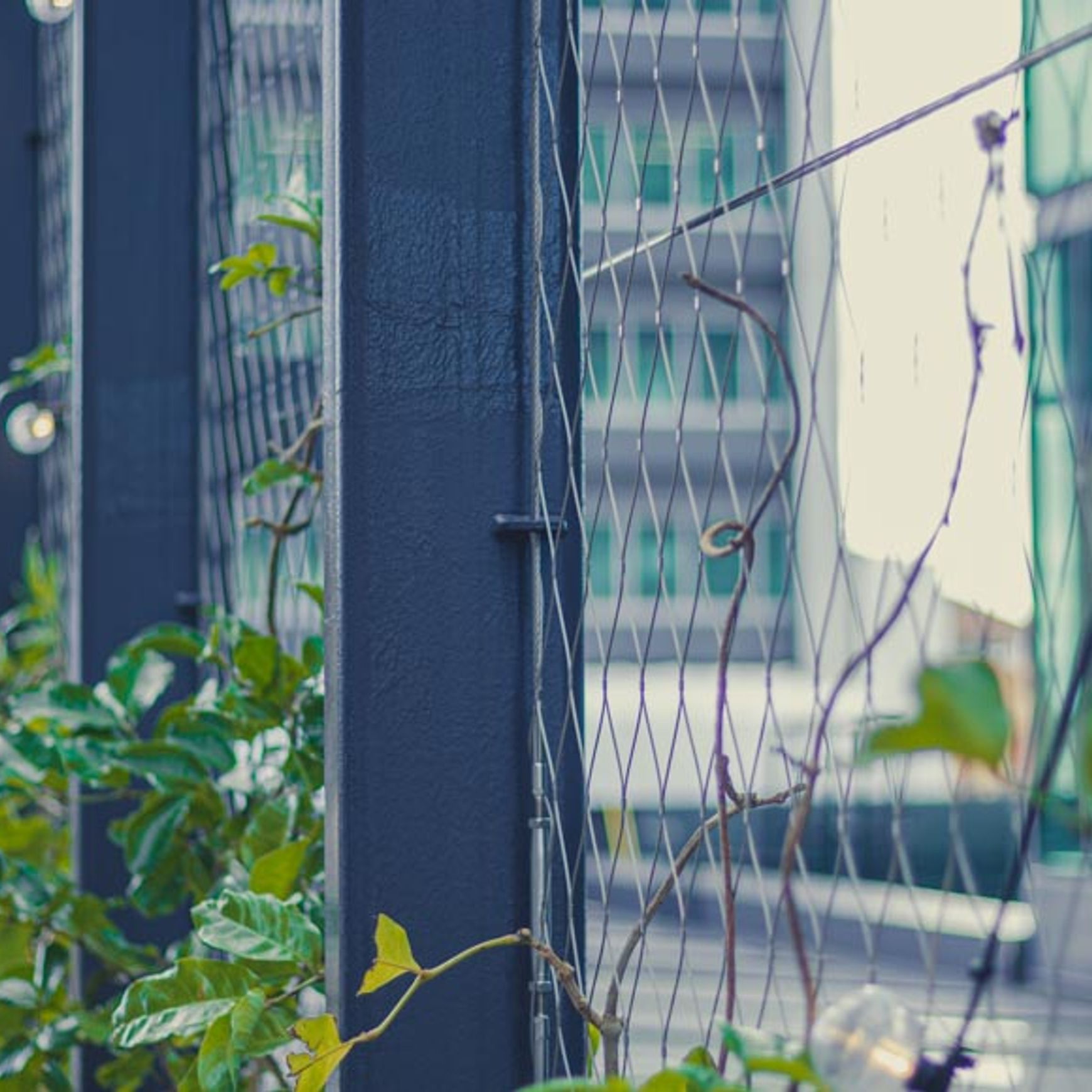 Green Wall Support Systems