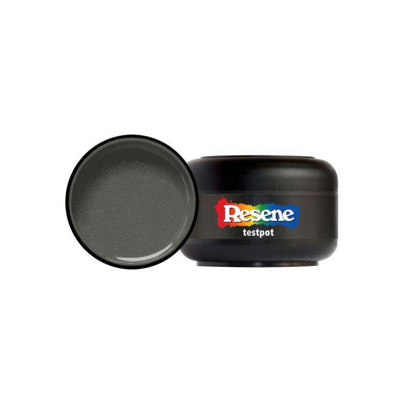 Resene Roof Metallic Trainspotter