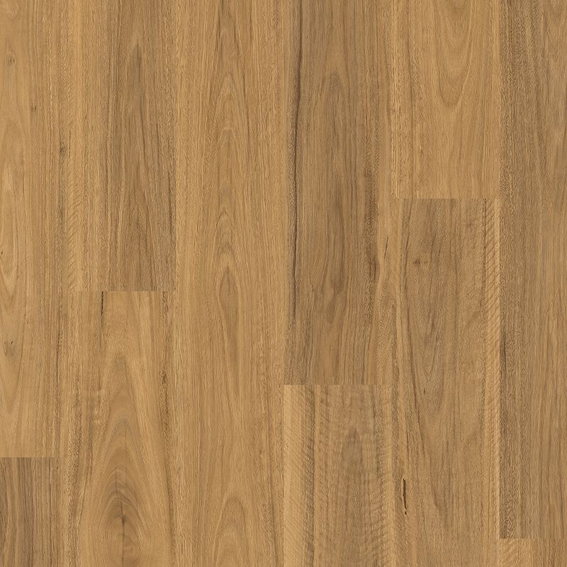 Quick-Step Classic Spotted Gum Laminate Flooring