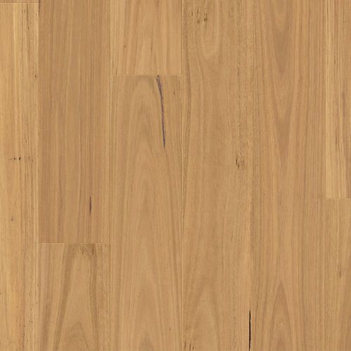 Clix XL Natural Blackbutt