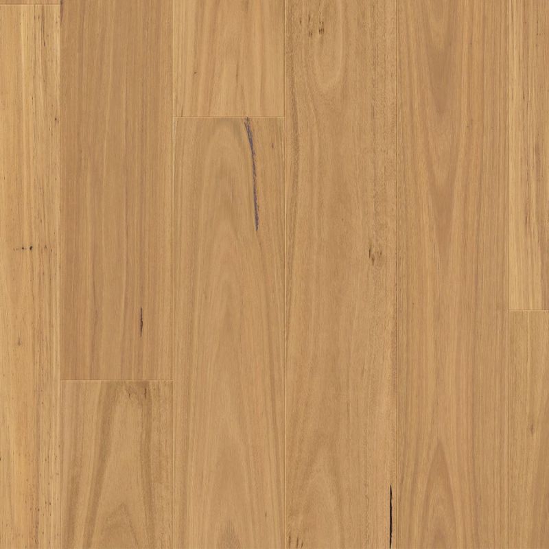 Clix XL Natural Blackbutt Laminate Flooring